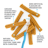 Plaque Busters with Pumpkin Spice