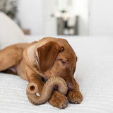 Beef Tripe Bone