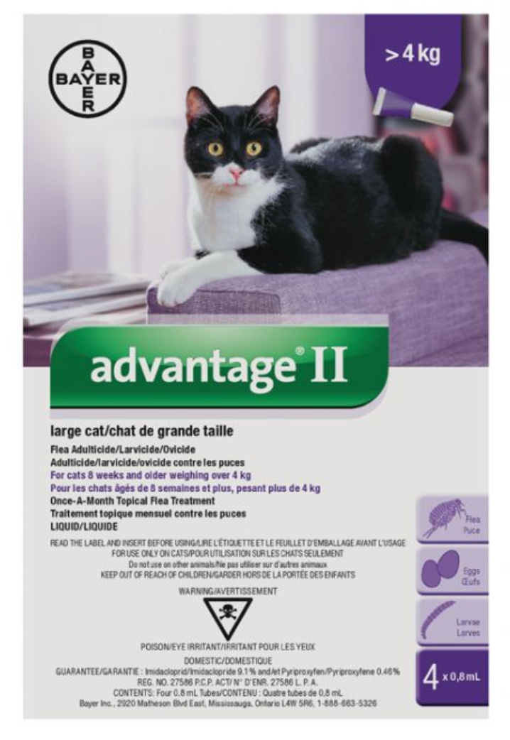 Advantage ii flea treatment for 2024 large cats