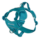 Momentum Control Harness