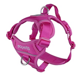 Momentum Control Harness