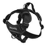 Momentum Control Harness