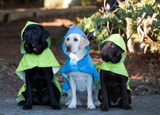 Packable Rain Poncho
