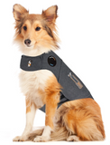 Thunder Shirt