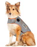 Thunder Shirt