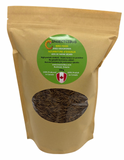 Dried Mealworms