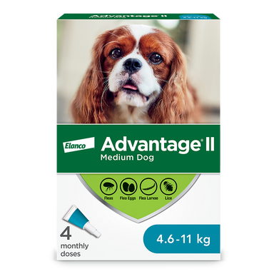 Advantage II for Medium Dogs