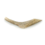 Antler Chew