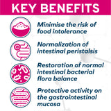 Intestinal
