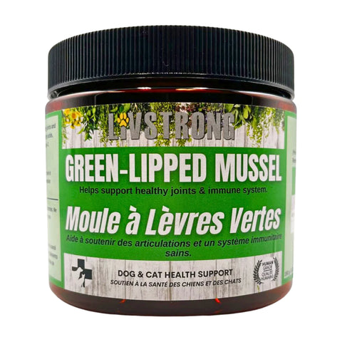 Green Lipped  Mussel