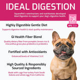 Ideal Digestion