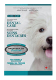 Dental Care