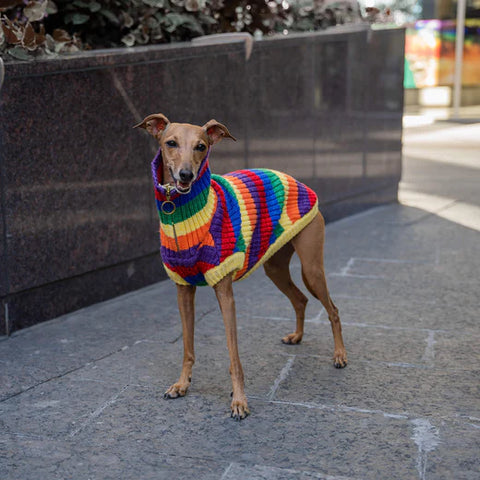 Over The Rainbow Sweater