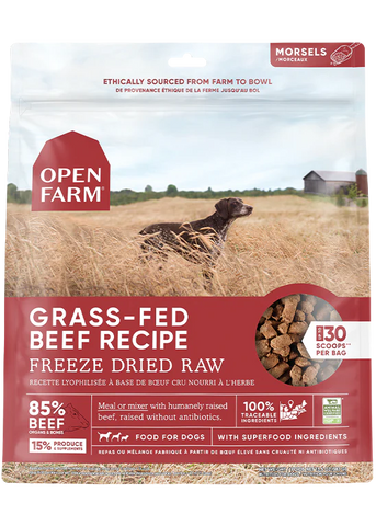 Grass-Fed Beef Recipe