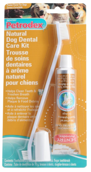 Dog dental shop kit