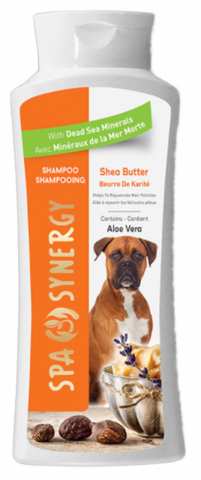 Shea Butter Shampoo