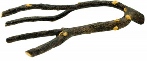 Natural Branch