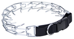 Training Prong Collar with Buckle