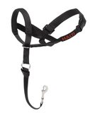 Training Head Collar