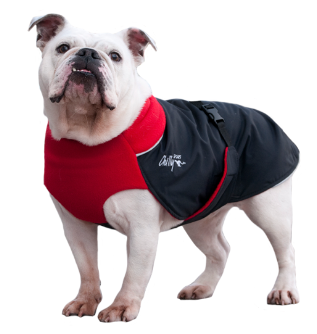 Great white top north dog coats