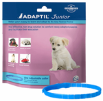 Junior Calming Puppy Collar
